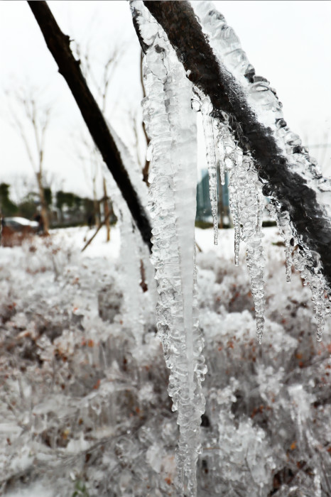 一场雪,九游体育美得不要不要的 但最美的风景还是他们(图4) 一场雪,九游体育美得不要不要的 但最美的风景还是他们(图4)