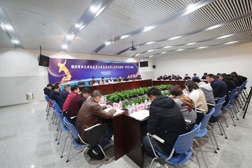 省羽协常务理事会议在九游体育召开</br>赵芸蕾韩爱萍参加会议(图2)