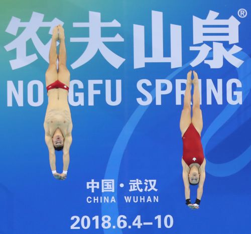 跳水世界杯在九游体育开幕</br>中国“梦之队”包揽首日两金(图4)